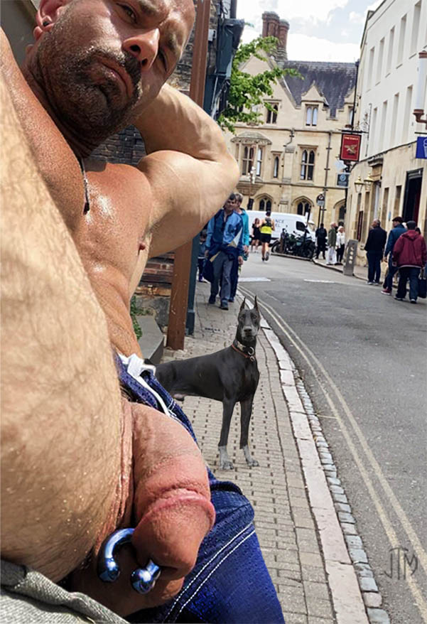 nice doggy
